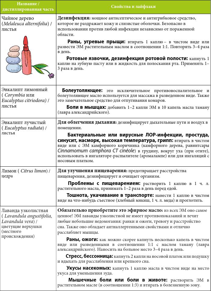 Мой блокнот. Сила растений