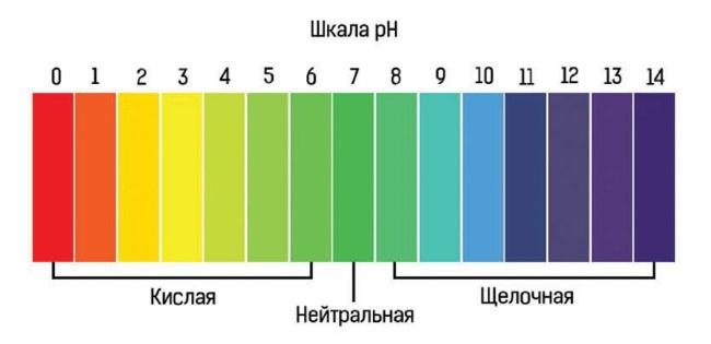 Марафон стройности. Ешь много, худей быстро