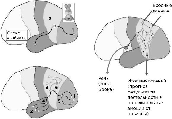 Мозг и его потребности. От питания до признания