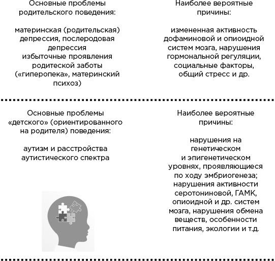 Мозг и его потребности. От питания до признания