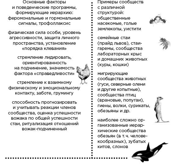 Мозг и его потребности. От питания до признания