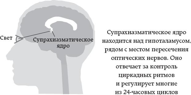 One simple thing: почему йога работает? Новый взгляд на науку йоги