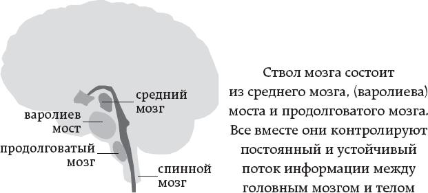 One simple thing: почему йога работает? Новый взгляд на науку йоги