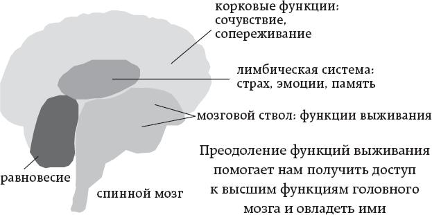 One simple thing: почему йога работает? Новый взгляд на науку йоги