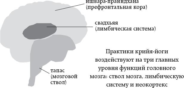 One simple thing: почему йога работает? Новый взгляд на науку йоги