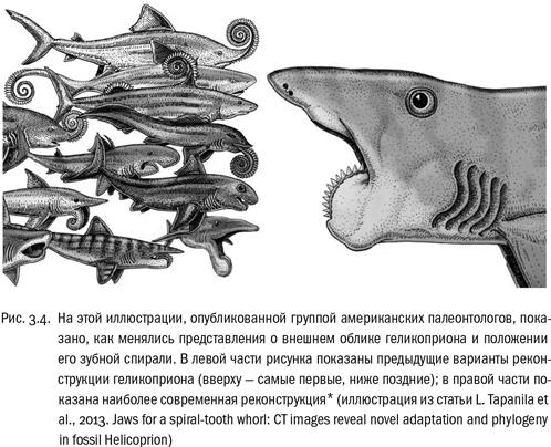 Евангелие от LUCA. В поисках родословной животного мира