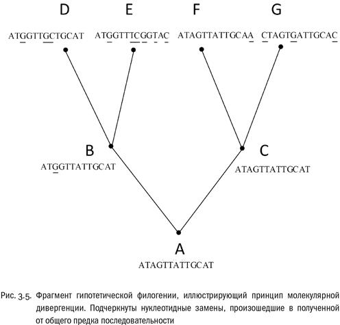 Евангелие от LUCA. В поисках родословной животного мира