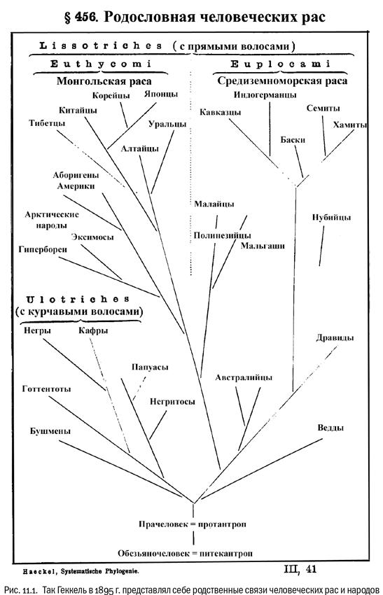 Евангелие от LUCA. В поисках родословной животного мира