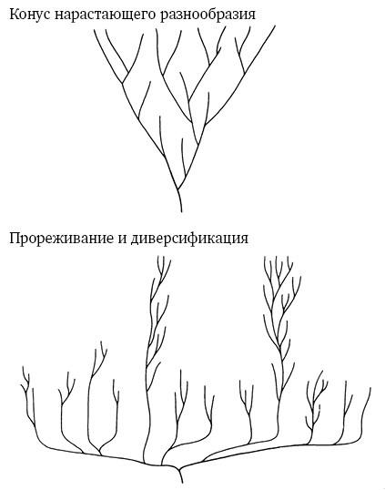 Опасная идея Дарвина: Эволюция и смысл жизни