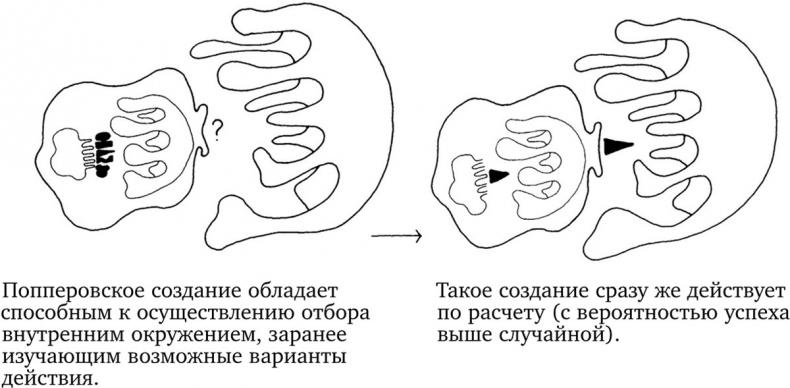 Опасная идея Дарвина: Эволюция и смысл жизни