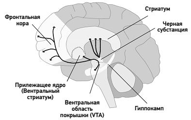 Между Ницше и Буддой: счастье, творчество и смысл жизни