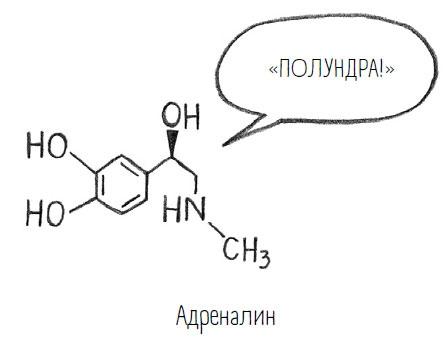 Комично, как все химично! Почему не стоит бояться фтора в зубной пасте, тефлона на сковороде, и думать о том, что телефон на зарядке взорвется