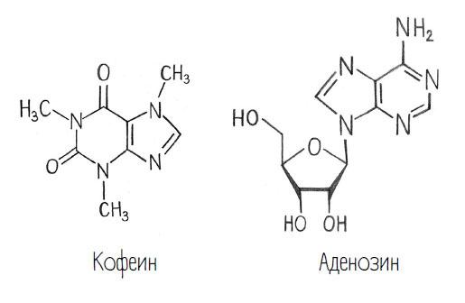 Комично, как все химично! Почему не стоит бояться фтора в зубной пасте, тефлона на сковороде, и думать о том, что телефон на зарядке взорвется