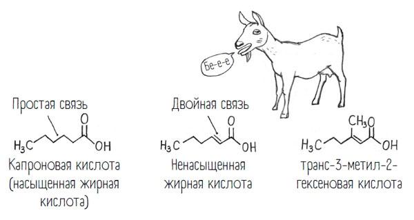 Комично, как все химично! Почему не стоит бояться фтора в зубной пасте, тефлона на сковороде, и думать о том, что телефон на зарядке взорвется