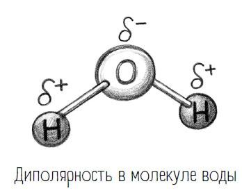 Комично, как все химично! Почему не стоит бояться фтора в зубной пасте, тефлона на сковороде, и думать о том, что телефон на зарядке взорвется