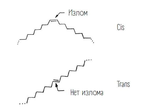 Комично, как все химично! Почему не стоит бояться фтора в зубной пасте, тефлона на сковороде, и думать о том, что телефон на зарядке взорвется