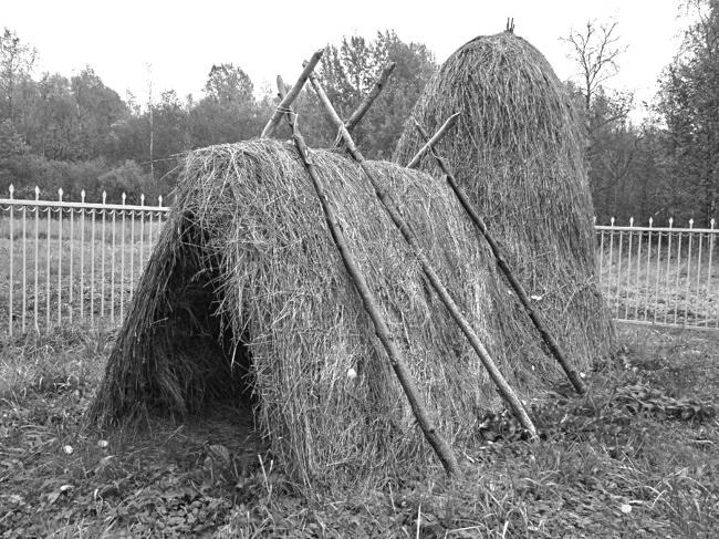 В.И. Ленин. Полная биография