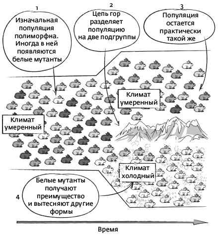 Дарвин на отдыхе. Размышляем над теорией эволюции