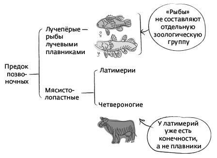 Дарвин на отдыхе. Размышляем над теорией эволюции