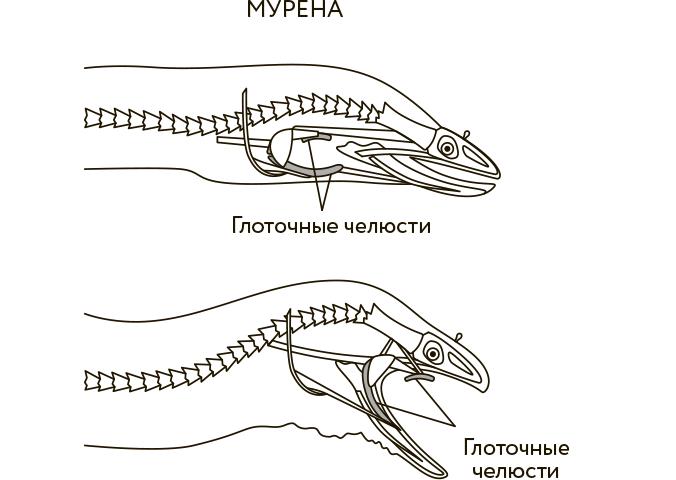 Научное мировоззрение изменит вашу жизнь. Почему мы изучаем Вселенную и как это помогает нам понять самих себя?