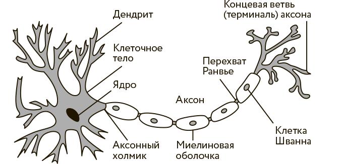 Научное мировоззрение изменит вашу жизнь. Почему мы изучаем Вселенную и как это помогает нам понять самих себя?