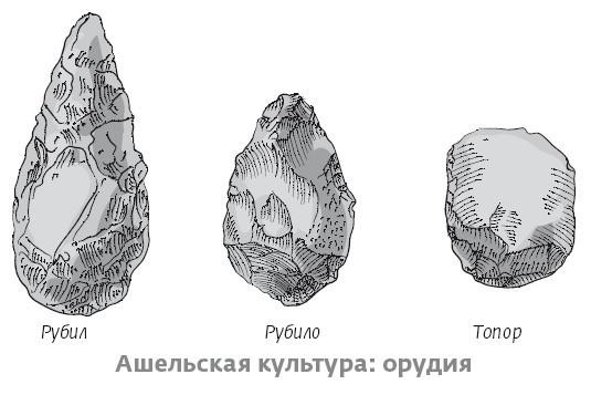 Сапиенс для пляжа: изучаем происхождение человека