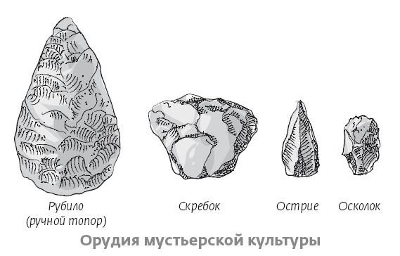 Сапиенс для пляжа: изучаем происхождение человека