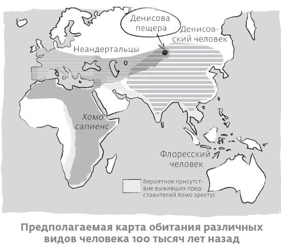 Сапиенс для пляжа: изучаем происхождение человека