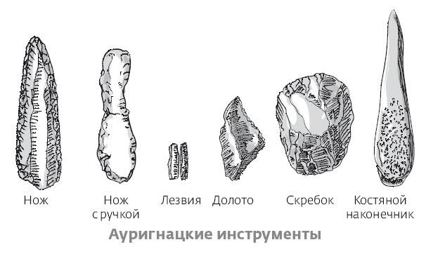 Сапиенс для пляжа: изучаем происхождение человека