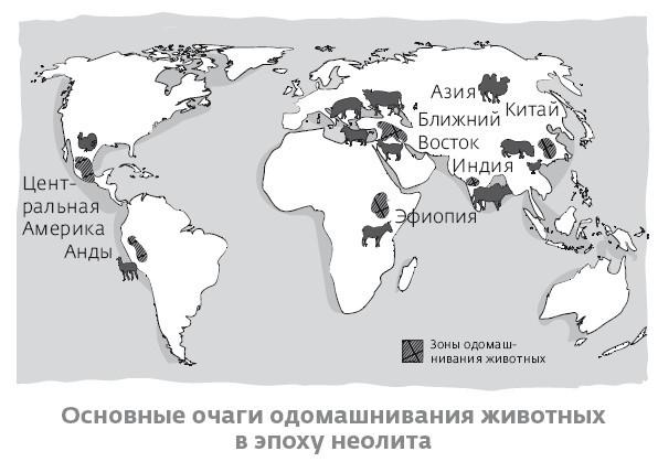 Сапиенс для пляжа: изучаем происхождение человека