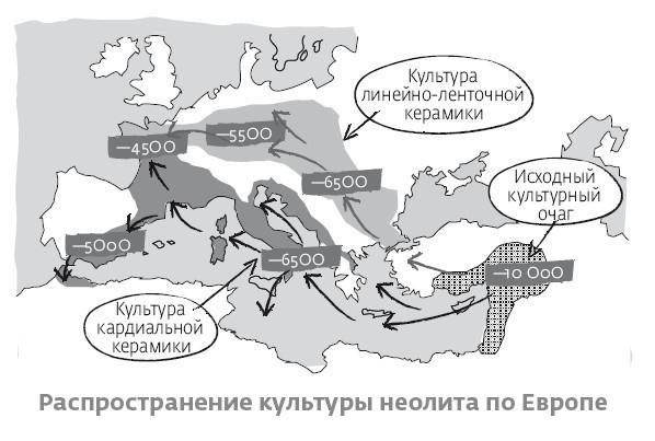 Сапиенс для пляжа: изучаем происхождение человека