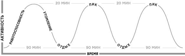 Продуктивная лентяйка. Как не делать лишнего и все успевать