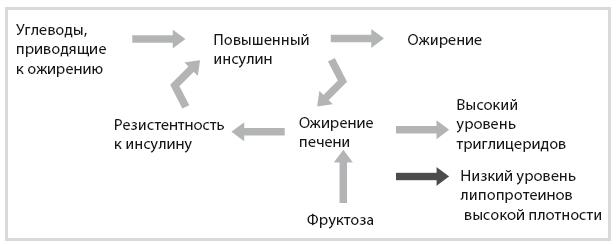 Код диабета. Научные данные о том, как диабет 2-го типа стал самой «внезапной» болезнью столетия, и простая программа восстановления без инъекций и лекарств