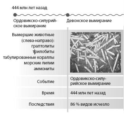 Взламывая планету Земля