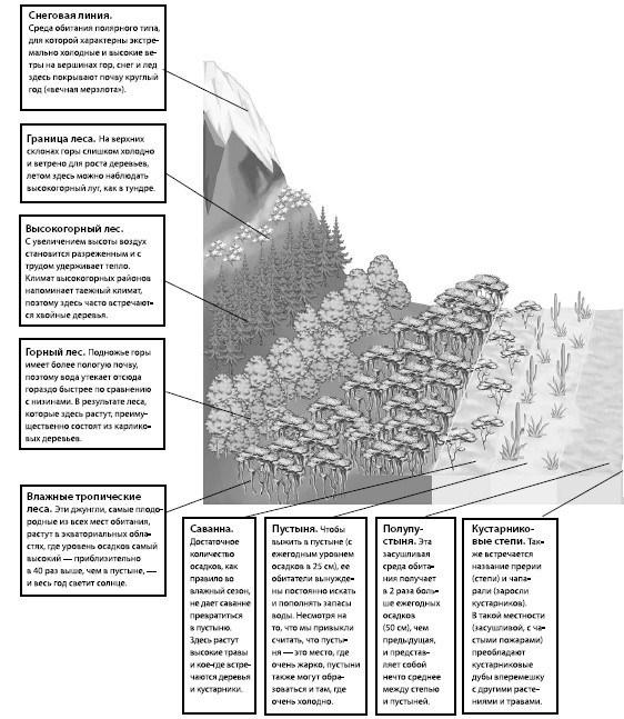 Взламывая планету Земля