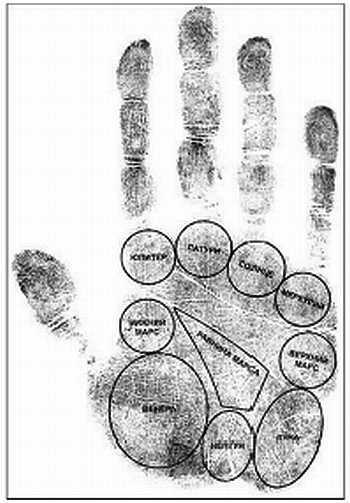 Психология руки. Полный обзор теории и практики хиромантии