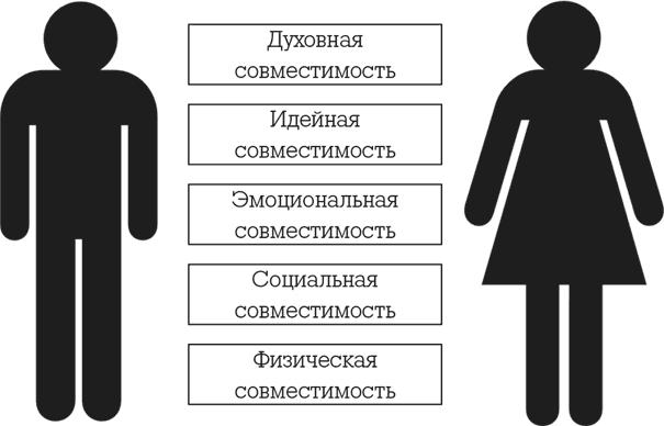 Умная, красивая и не замужем. Стать женой легко и просто