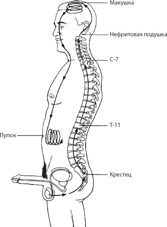 Мульти-оргазмический мужчина. Как каждый мужчина может испытать множественный оргазм и сделать потрясающими свои сексуальные отношения