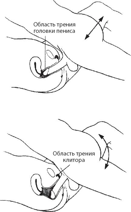 Мульти-оргазмический мужчина. Как каждый мужчина может испытать множественный оргазм и сделать потрясающими свои сексуальные отношения