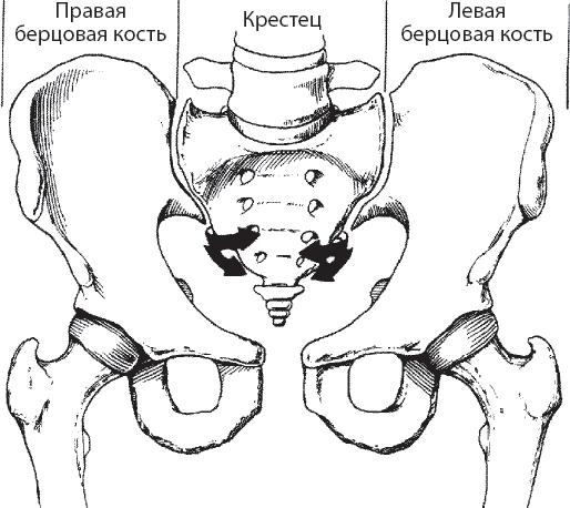 Мульти-оргазмический мужчина. Как каждый мужчина может испытать множественный оргазм и сделать потрясающими свои сексуальные отношения