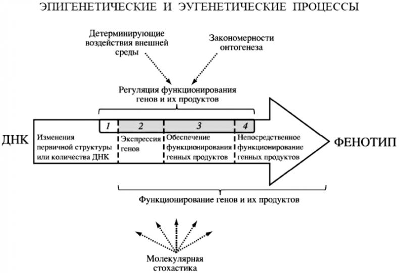 «Павловизация» дрессировки и мифология инстинкта