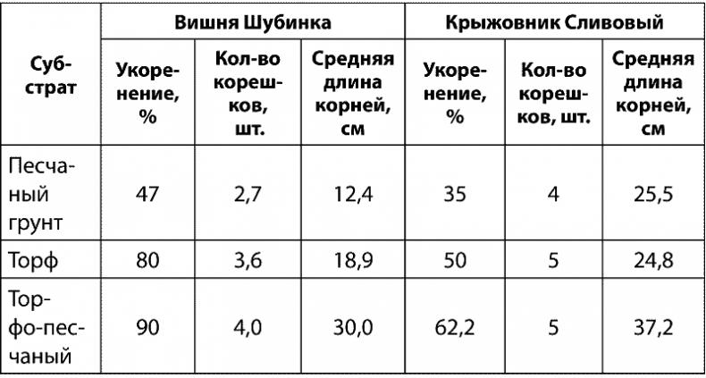 Как обустроить сад и зарабатывать на нем