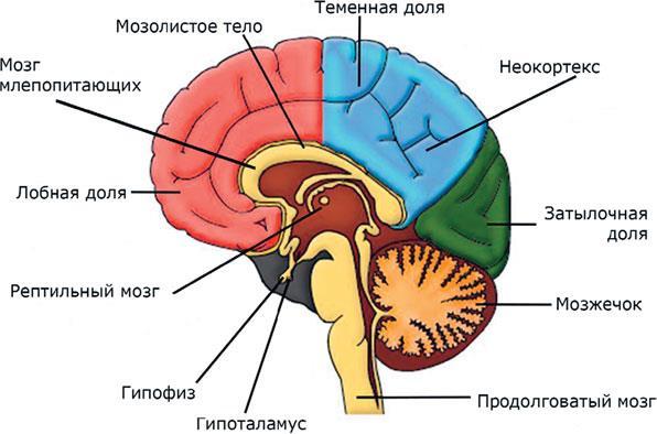 Формула Бога. Эволюция религии, культуры и этики в эпоху технологической сингулярности и бессмертия