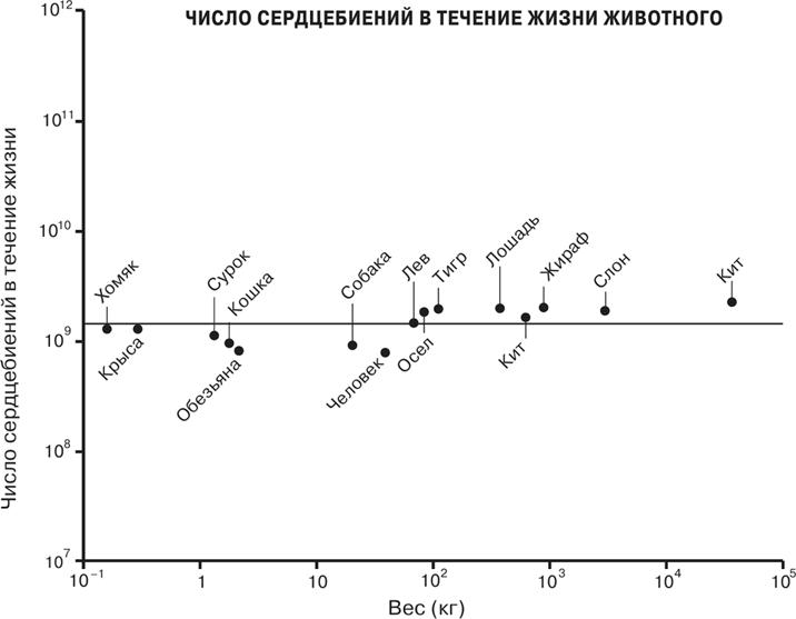 Масштаб. Универсальные законы роста, инноваций, устойчивости и темпов жизни организмов, городов, экономических систем и компаний