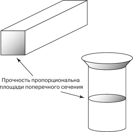 Масштаб. Универсальные законы роста, инноваций, устойчивости и темпов жизни организмов, городов, экономических систем и компаний