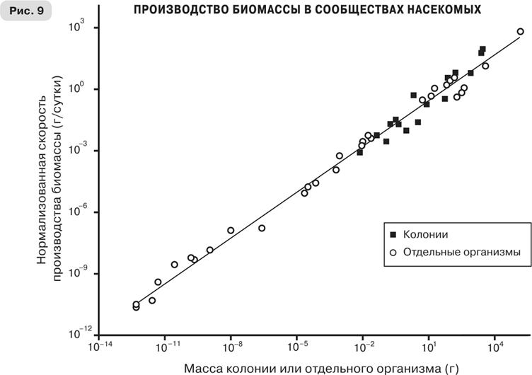 Масштаб. Универсальные законы роста, инноваций, устойчивости и темпов жизни организмов, городов, экономических систем и компаний