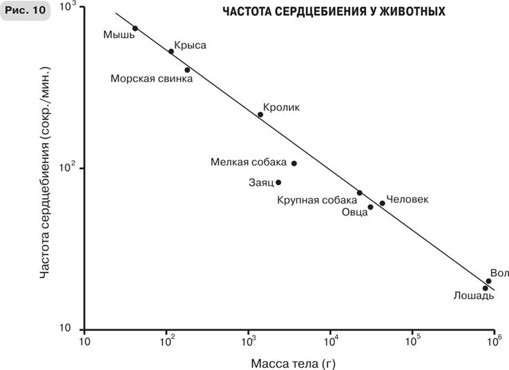 Масштаб. Универсальные законы роста, инноваций, устойчивости и темпов жизни организмов, городов, экономических систем и компаний