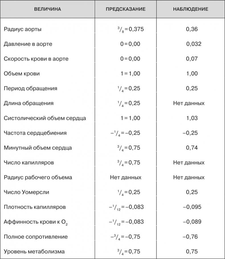 Масштаб. Универсальные законы роста, инноваций, устойчивости и темпов жизни организмов, городов, экономических систем и компаний