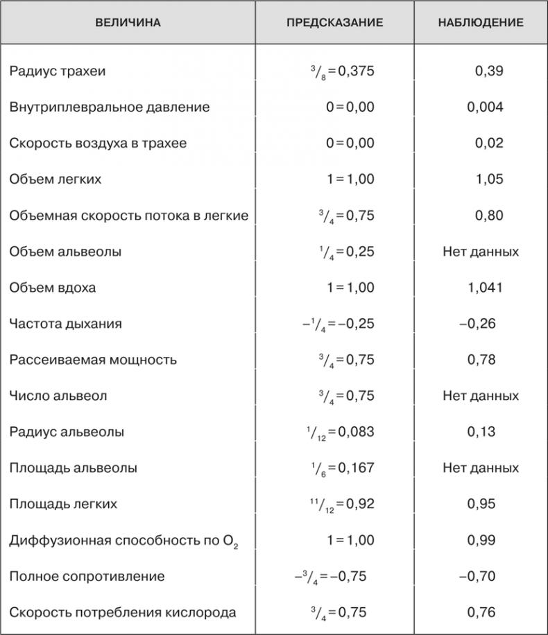 Масштаб. Универсальные законы роста, инноваций, устойчивости и темпов жизни организмов, городов, экономических систем и компаний