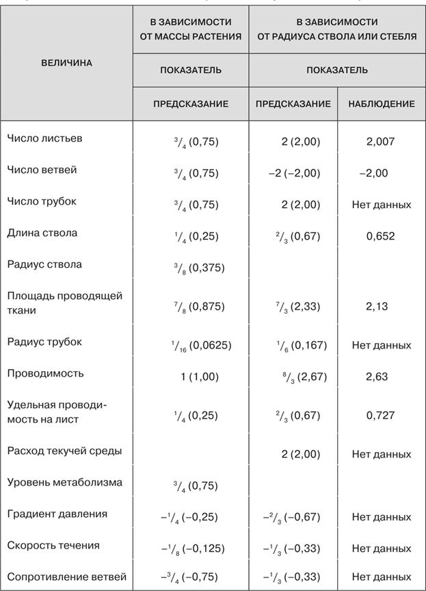 Масштаб. Универсальные законы роста, инноваций, устойчивости и темпов жизни организмов, городов, экономических систем и компаний